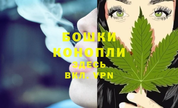 spice Лагань