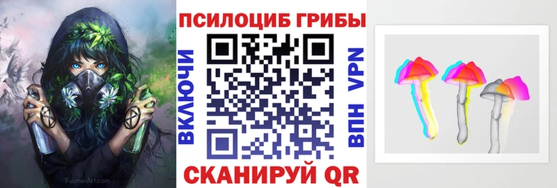 купить наркоту  Тимашёвск  ОМГ ОМГ ССЫЛКА  Псилоцибиновые грибы MAGIC MUSHROOMS 